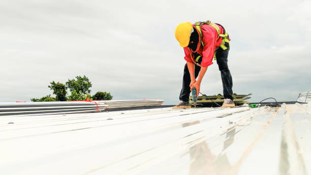 Professional Roofing Services in Mogul, NV